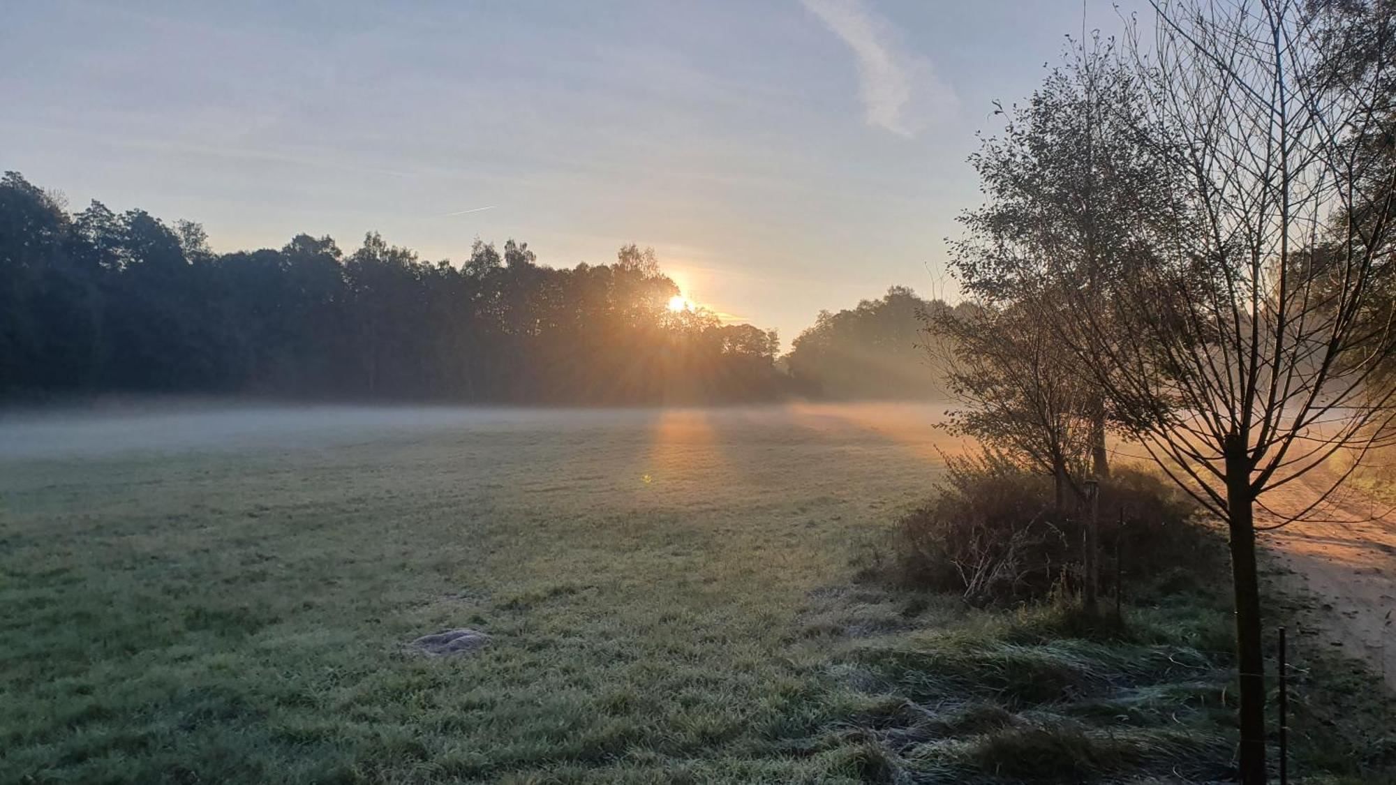 Am Gruenen Meer Myšyn Esterno foto